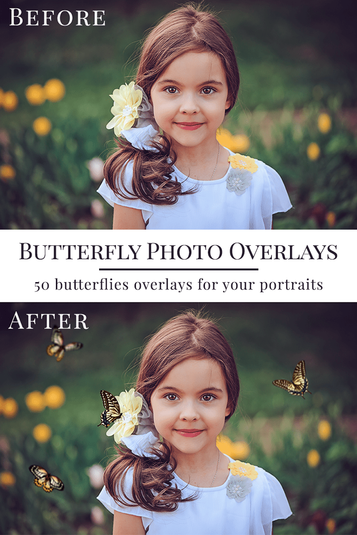 butterflies photo overlays, butterfly photo overlays, butterfly overlays, photo overlays for Photoshop by Brown Leopard