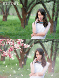 Magnolia photo overlays