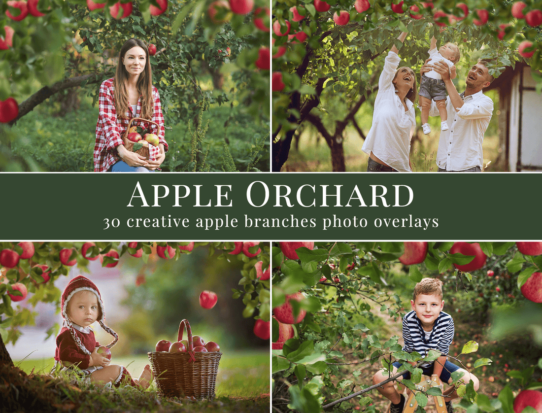 apple orchard photo overlays