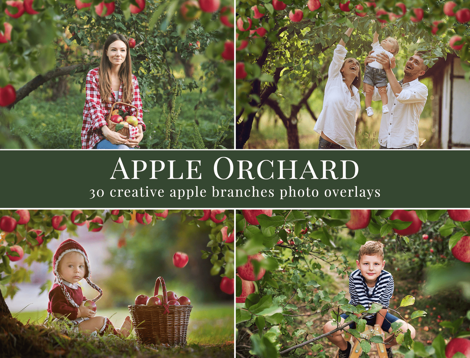apple orchard photo overlays