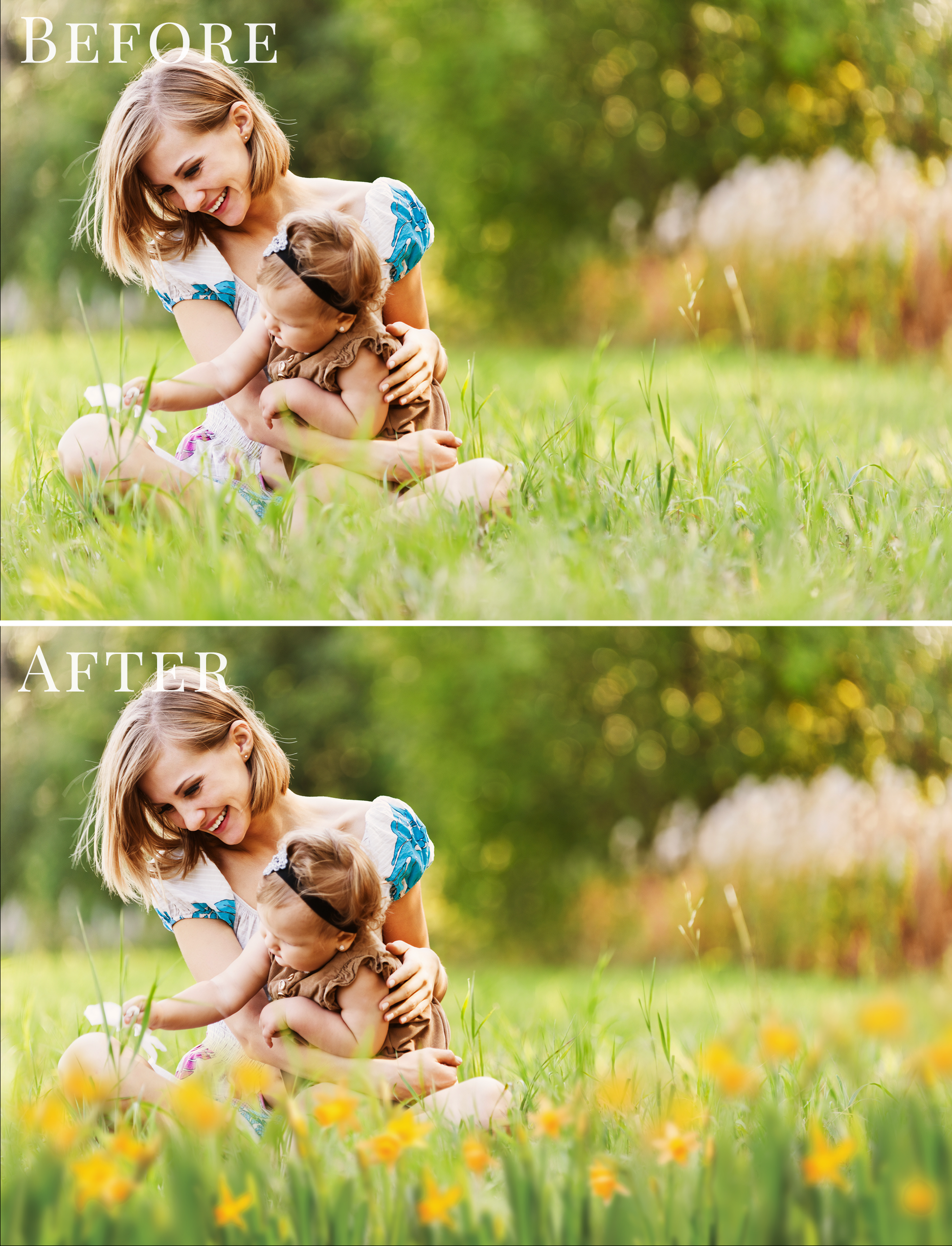 daffodils-flowers-photo-overlays