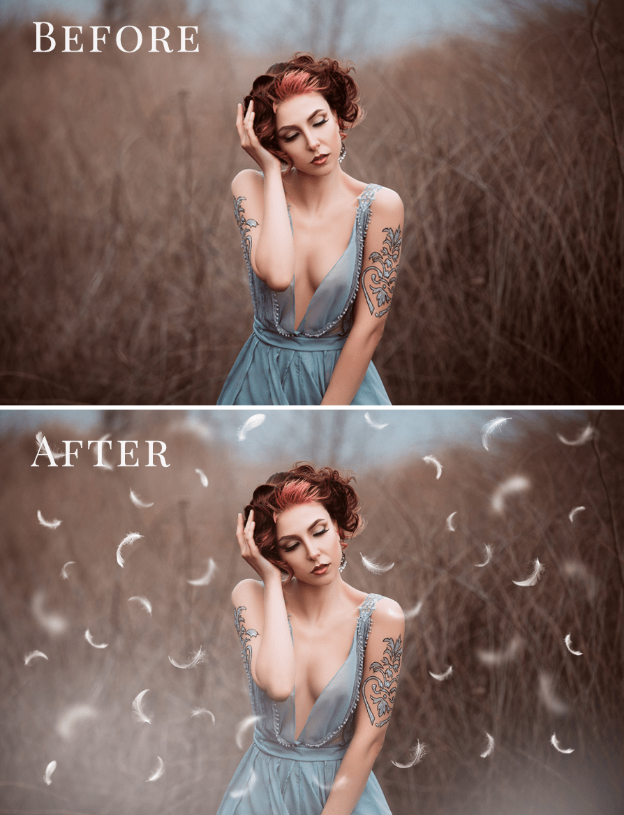 Feathers photo overlays