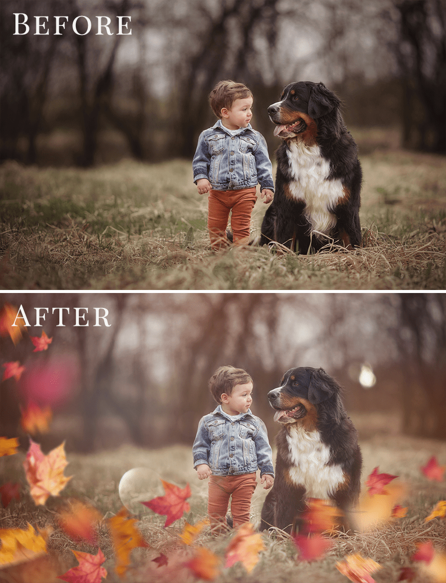 fall photo overlays