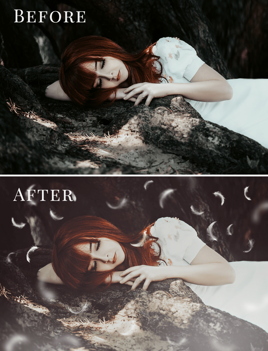 Feathers photo overlays