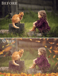 fall photo overlays