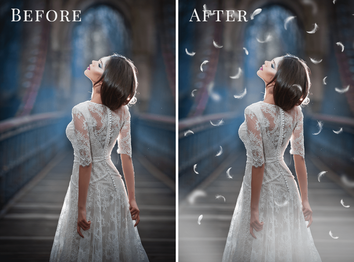 Feathers photo overlays