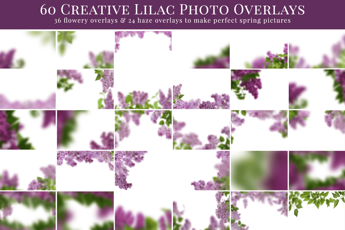 Dreamy Lilac Photo Overlays
