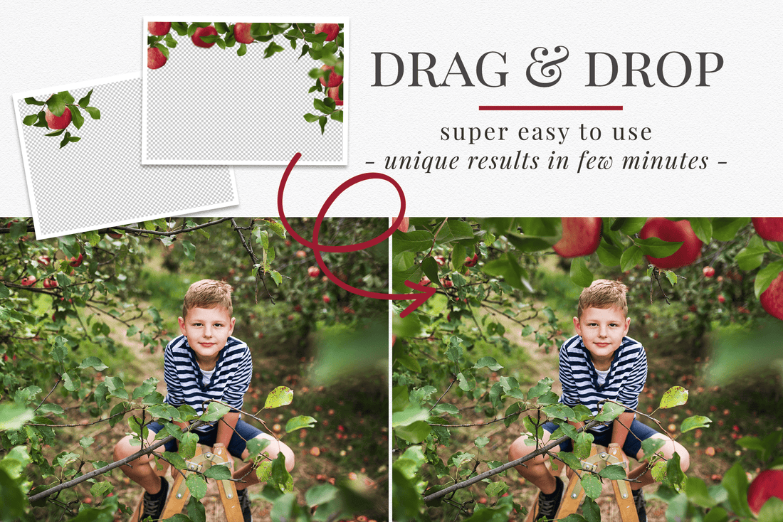 apple orchard photo overlays