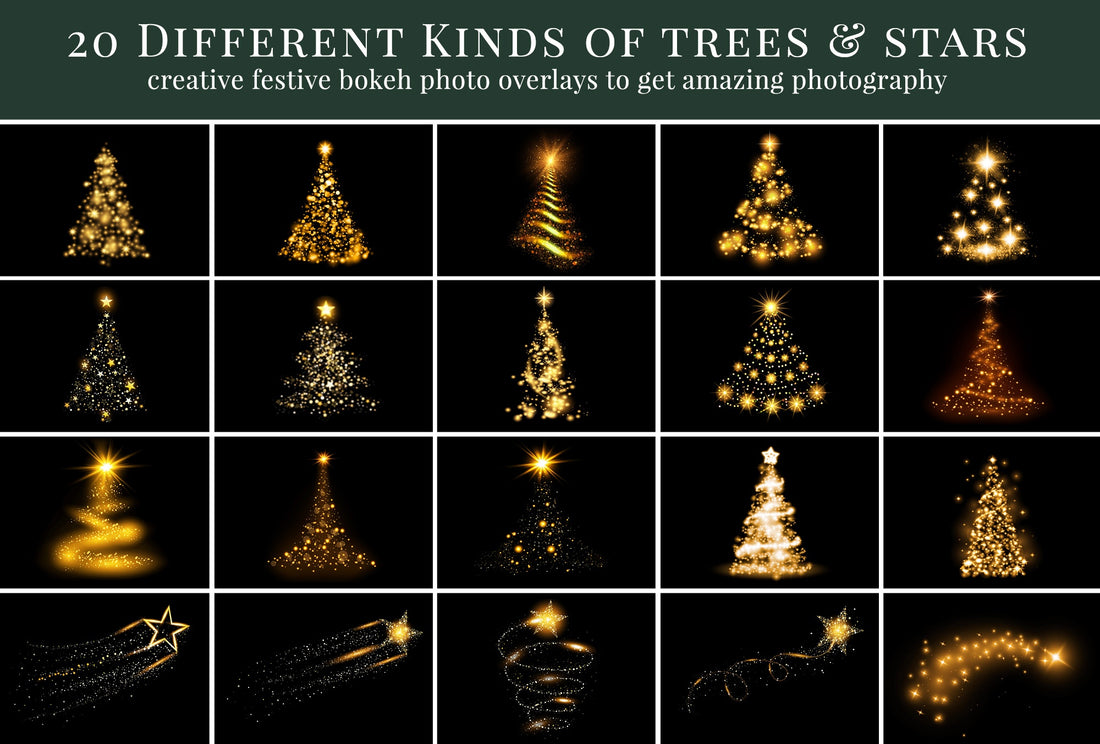 Christmas Trees 2 Photo Overlays