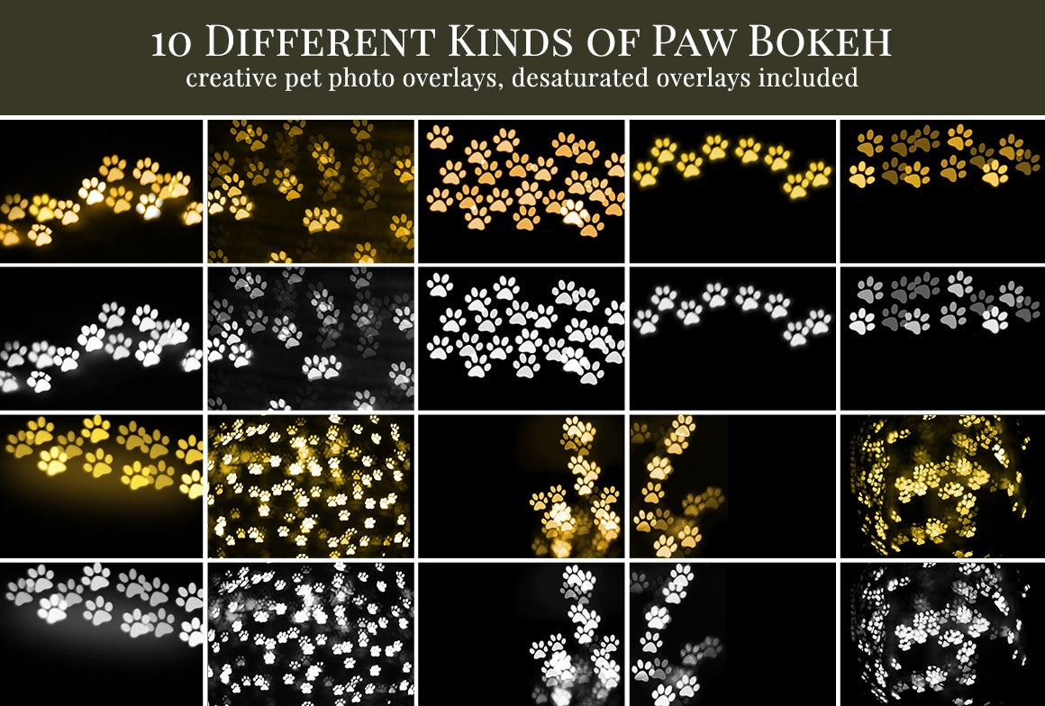 paw bokeh