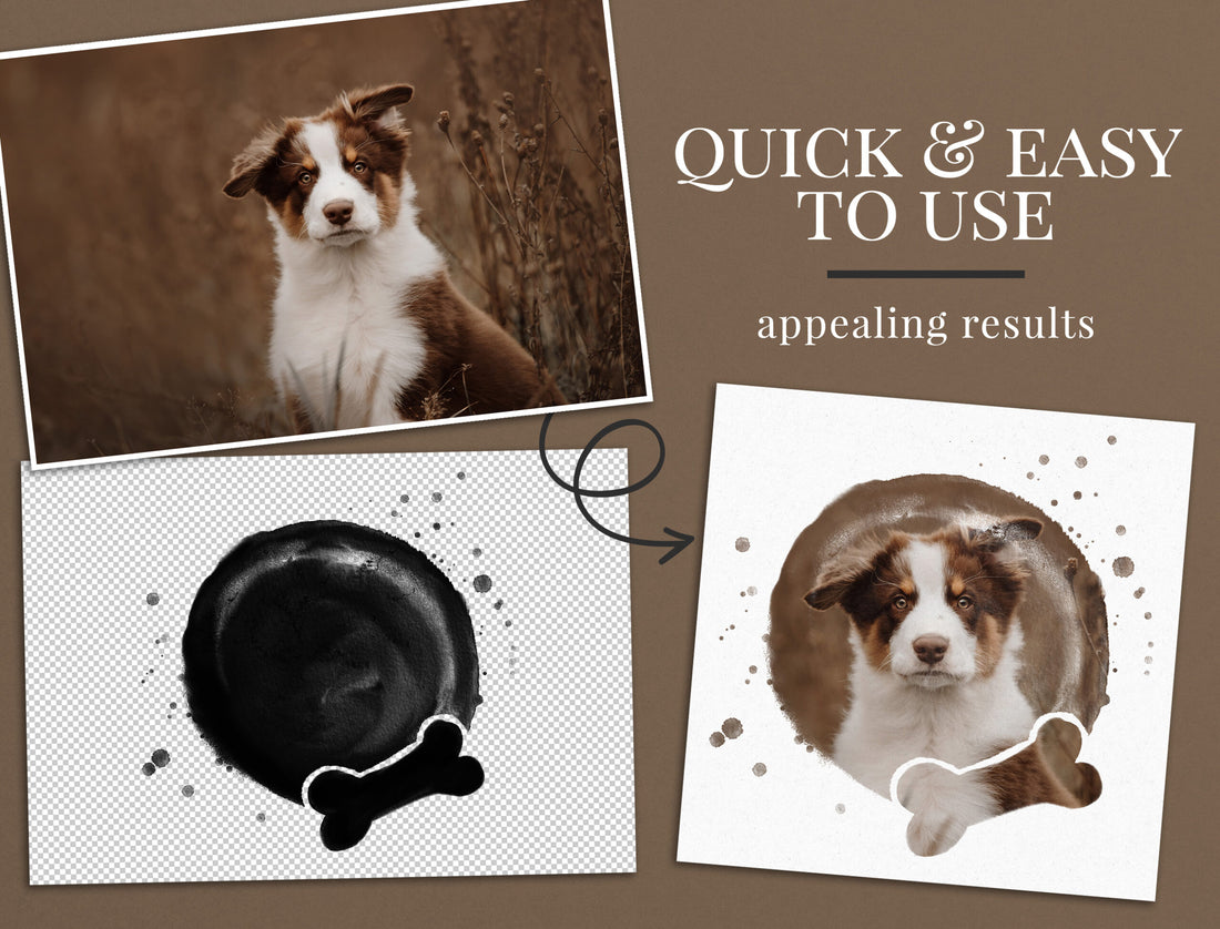 Dog's Photo Frames