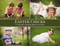 spring chickens overlays