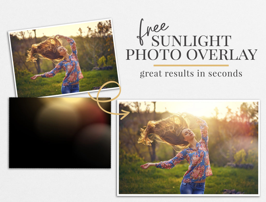 sunlight photo overlay freebie