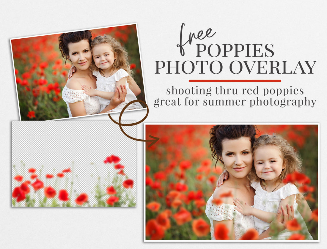 poppies photo overlay freebie