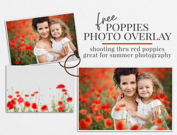 poppies photo overlay freebie