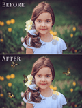 butterflies photo overlays