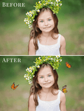 butterflies photo overlays