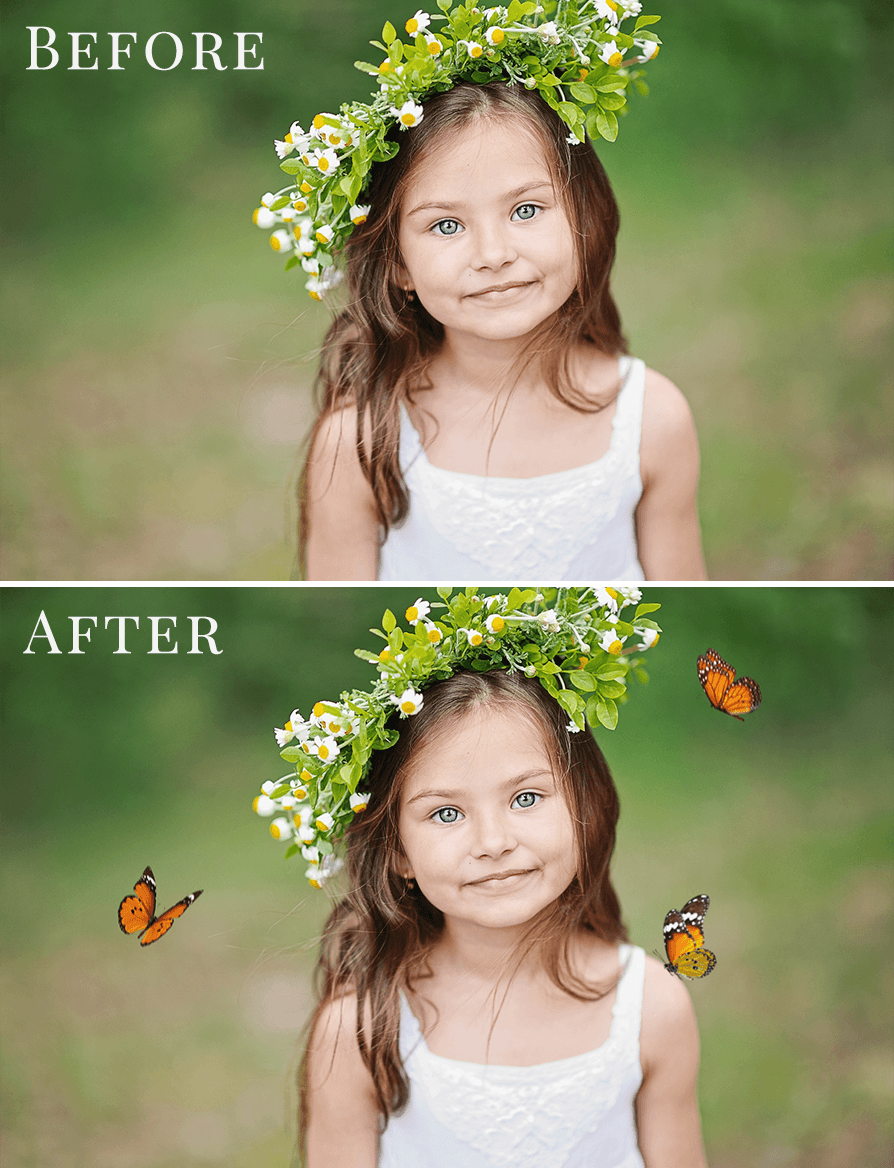 butterflies photo overlays