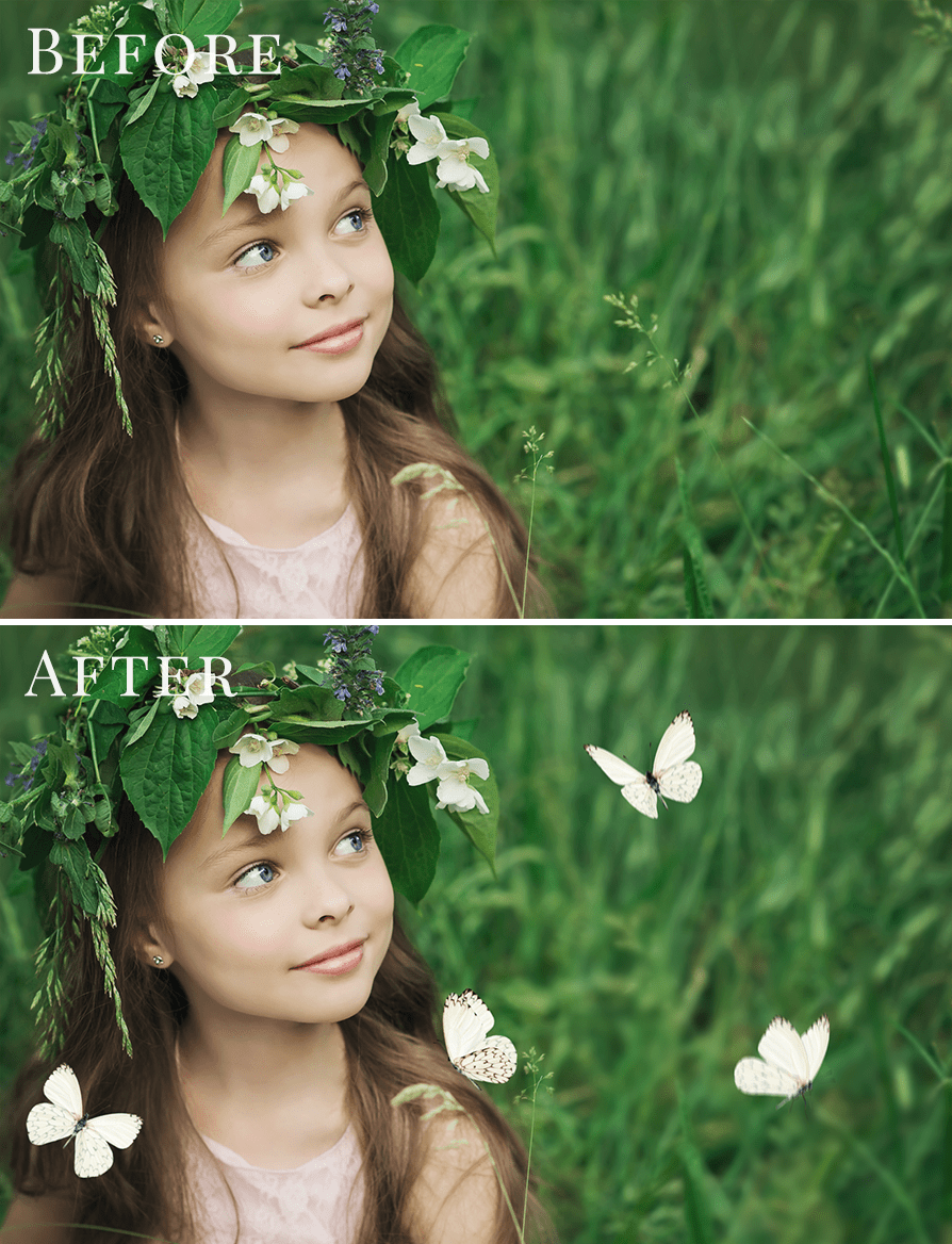 butterflies photo overlays