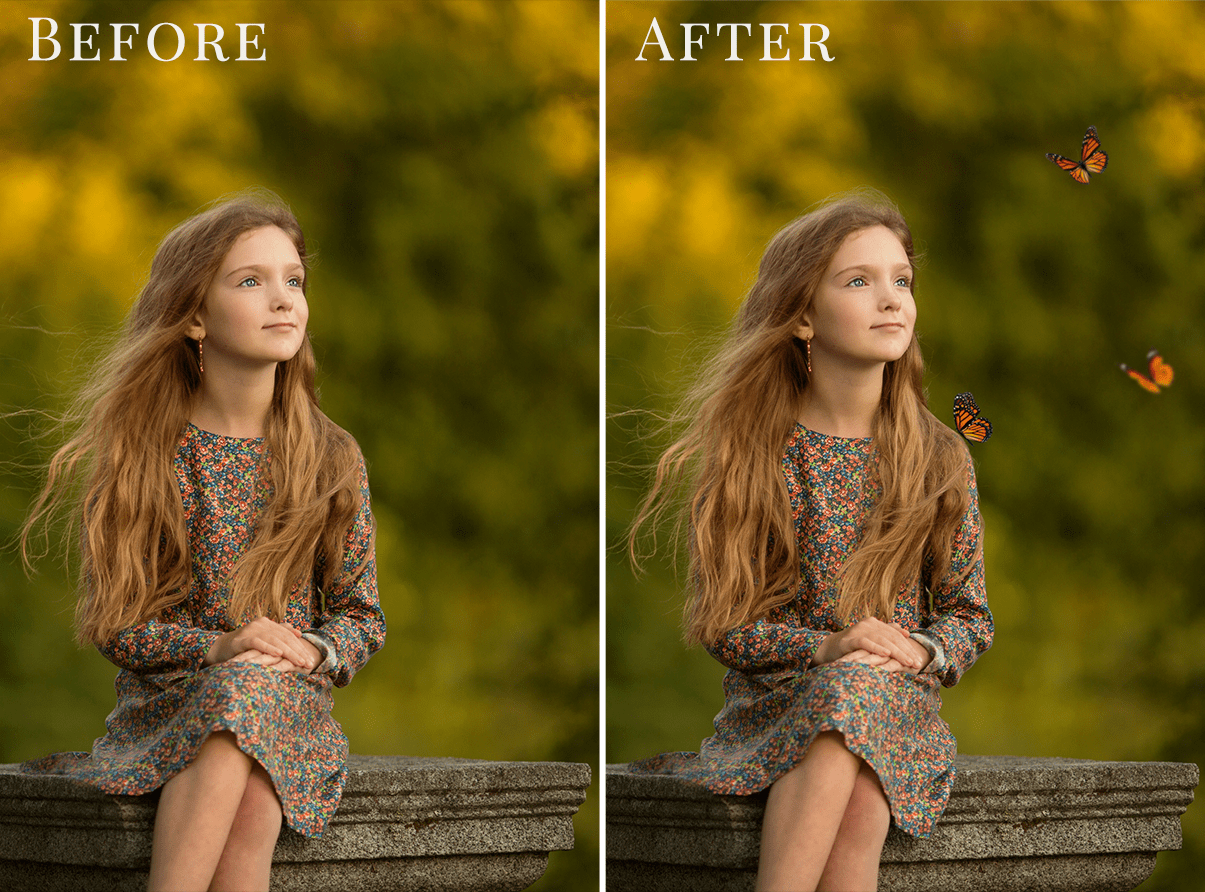 butterflies photo overlays