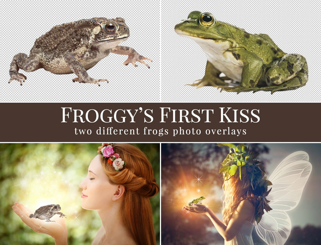 frog photo overlays