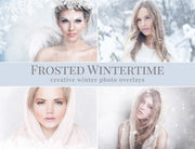 Frosted Wintertime Photo Overlays