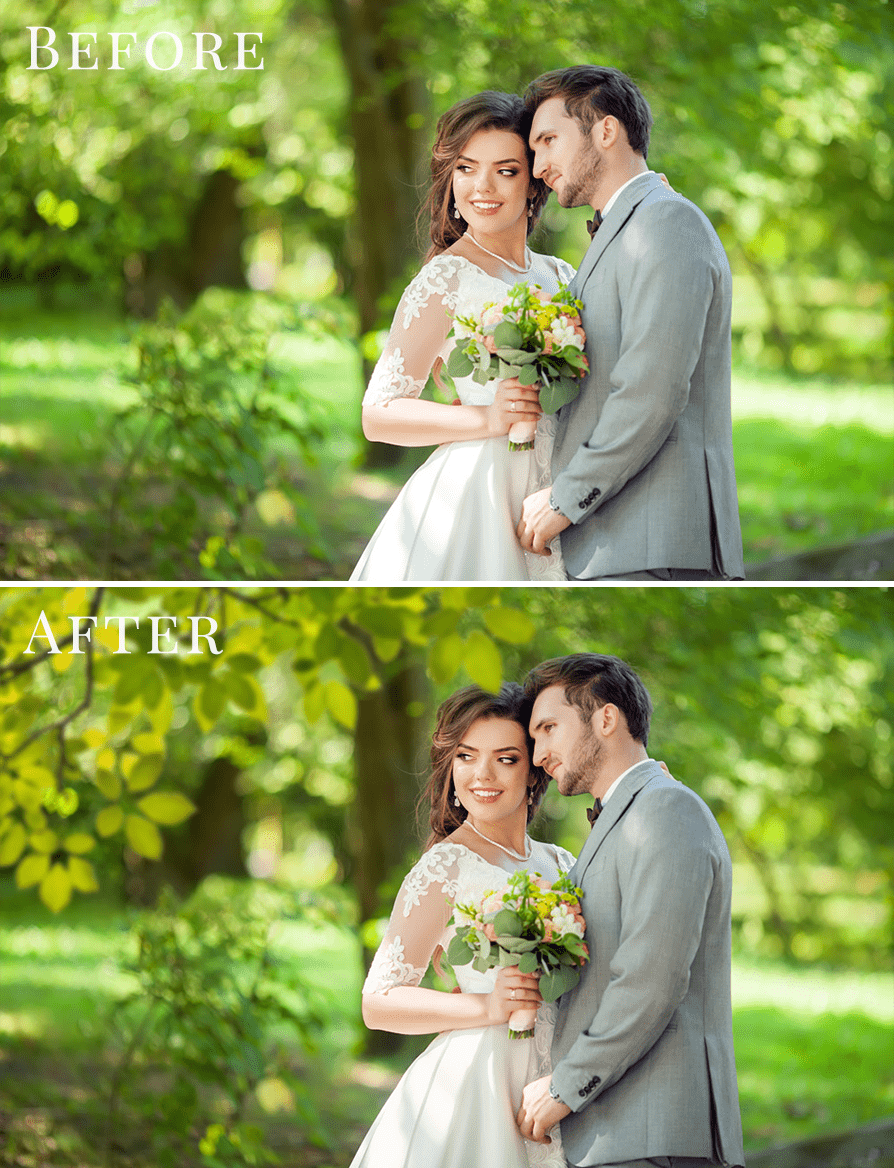 branches photo overlays