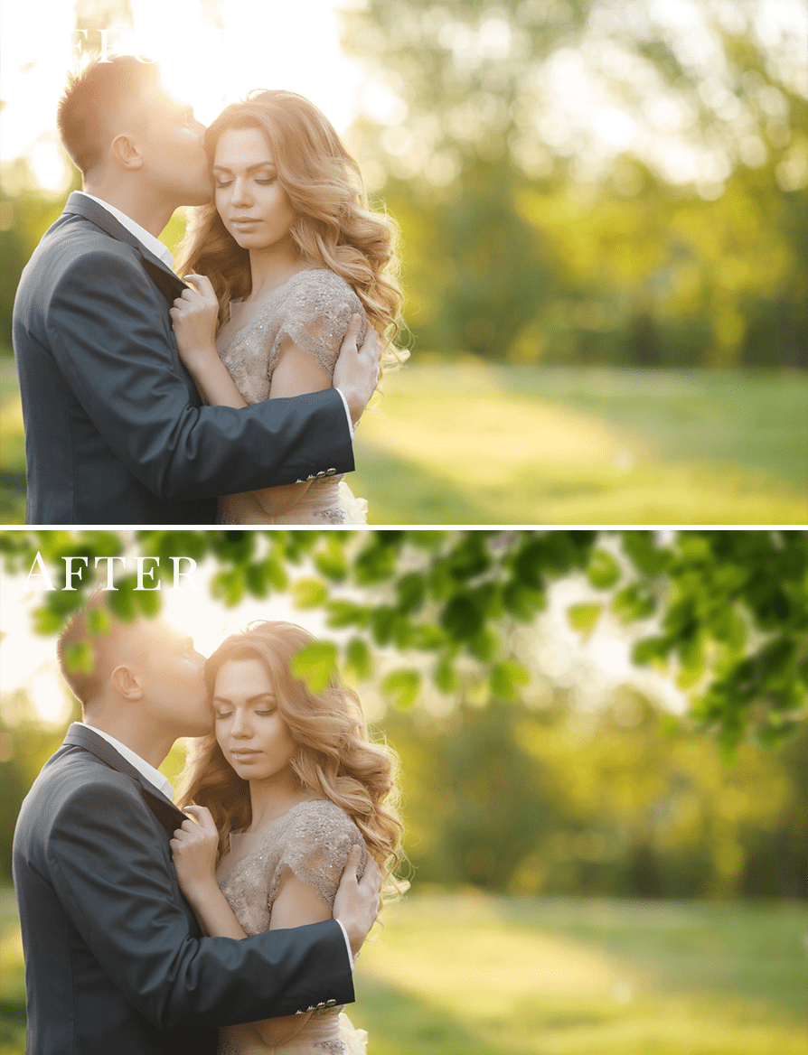 branches photo overlays