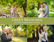 Green Branches Photo Overlays