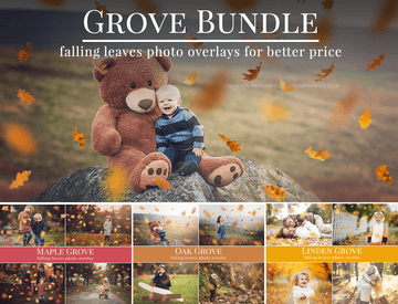 leaves photo overlays