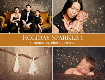 Holiday Sparkle 1 Photo Overlays