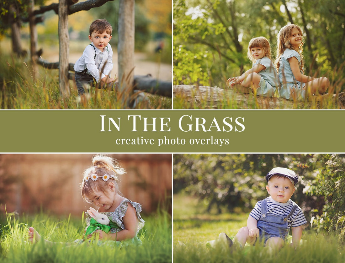 grass photo overlays