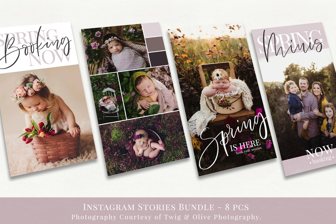 instagram stories spring minis