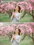 spring photo overlays for Photoshop