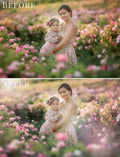 spring photo overlays for Photoshop