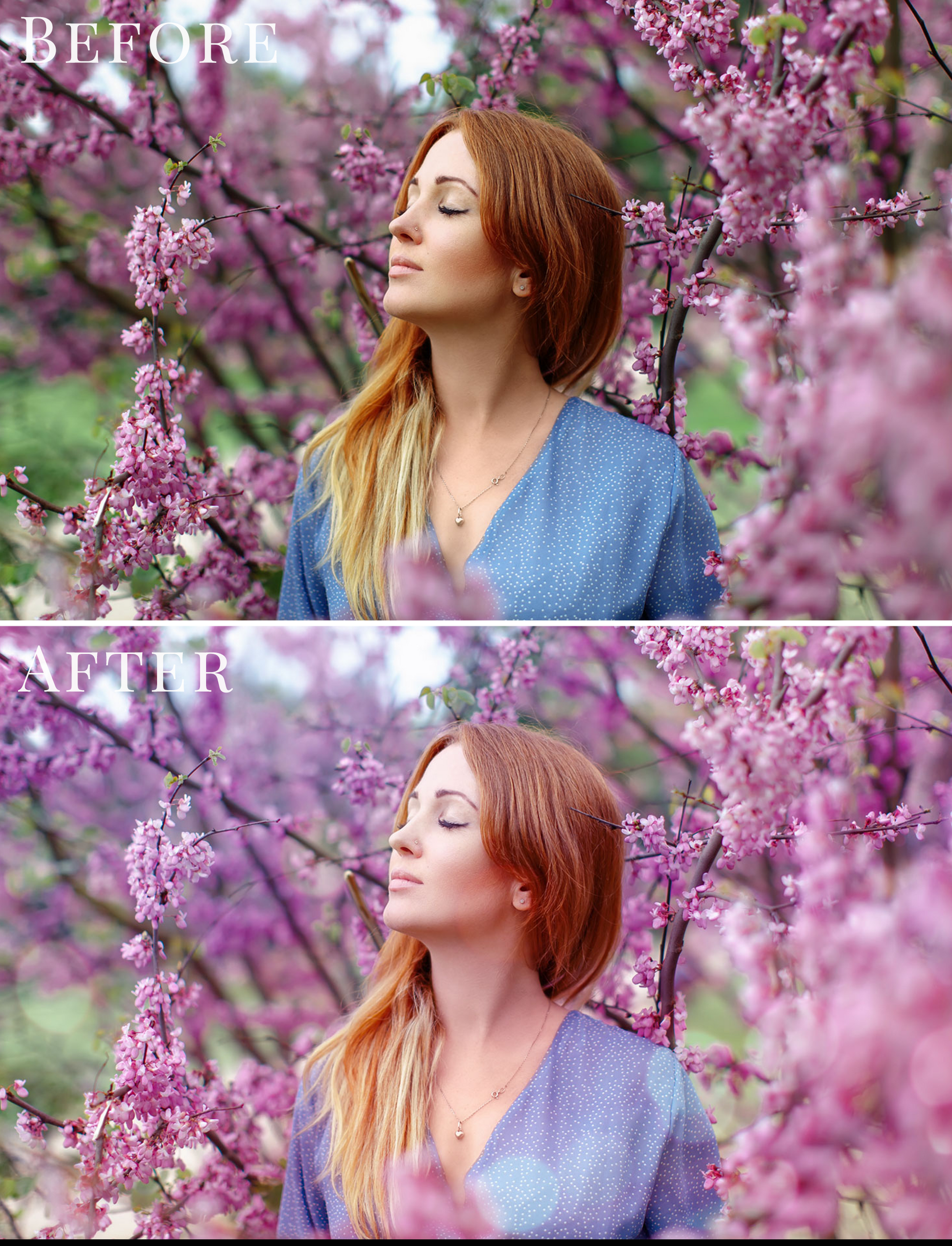 purple bokeh photo overlays