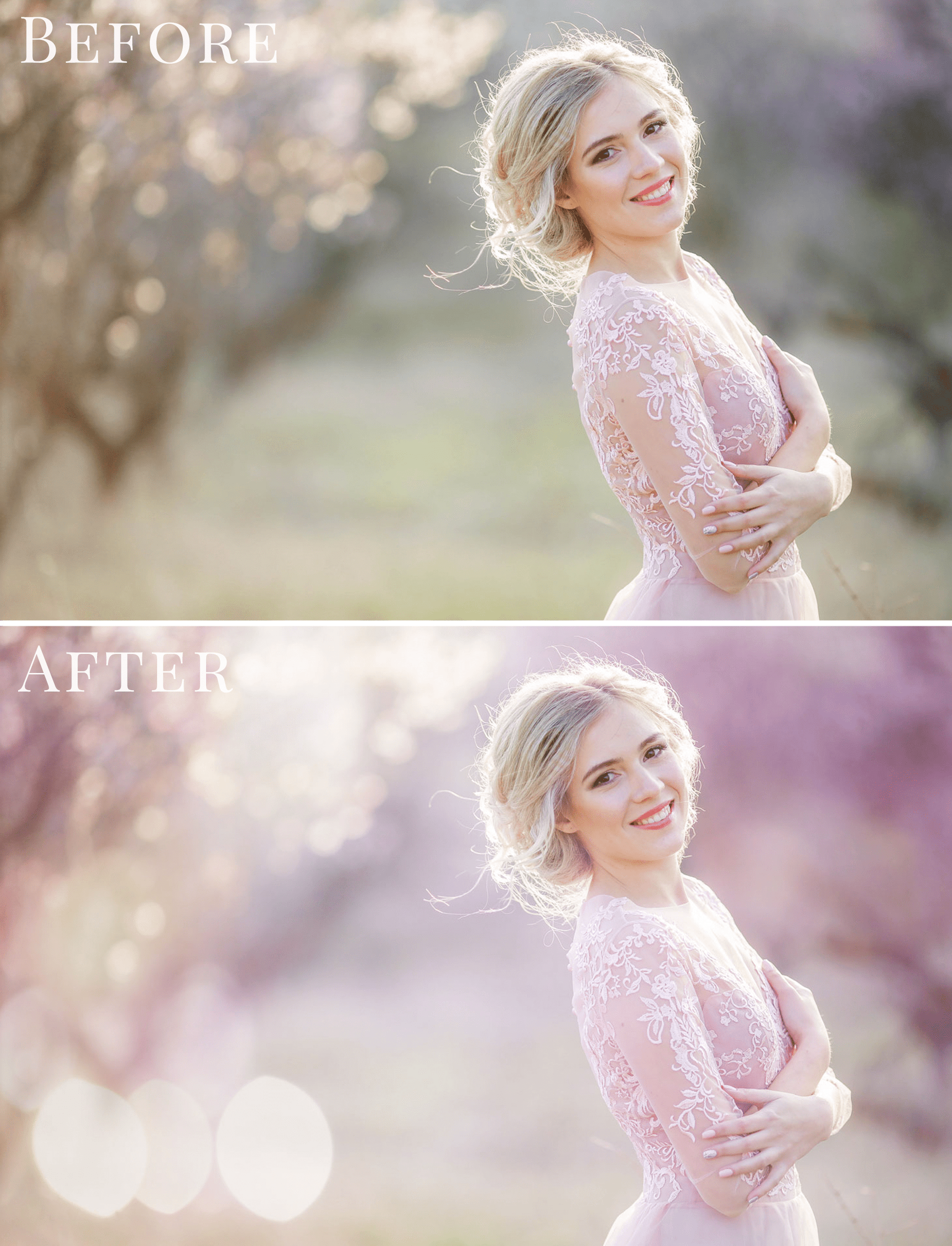 purple bokeh photo overlays