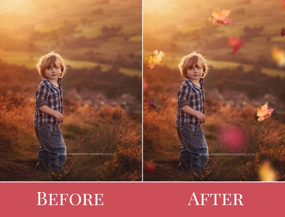 falling leaves overlays