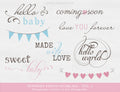 newborn photo overlays