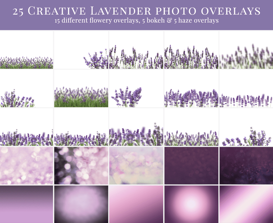 lavender photo overlays