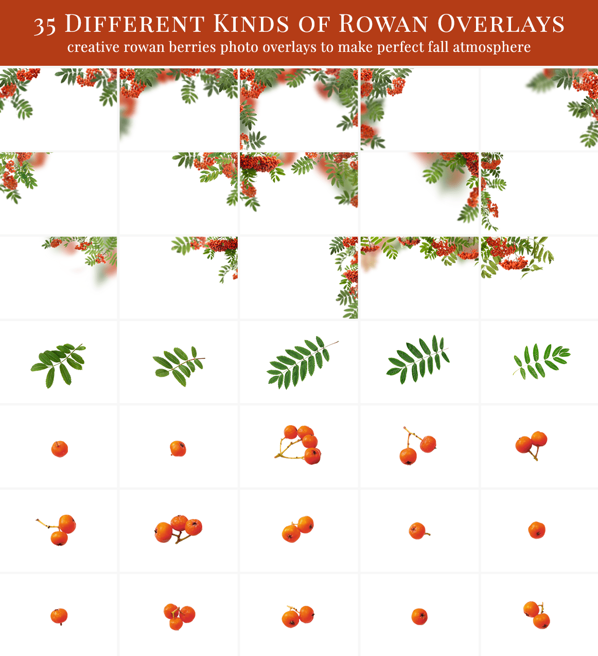 rowan photo overlays