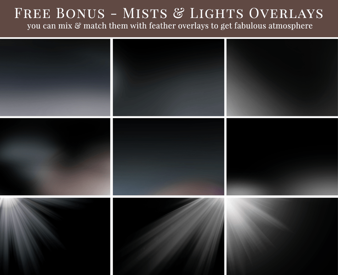 Feathers photo overlays