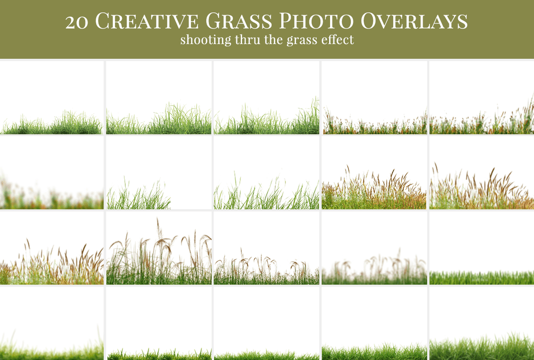 grass photo overlays