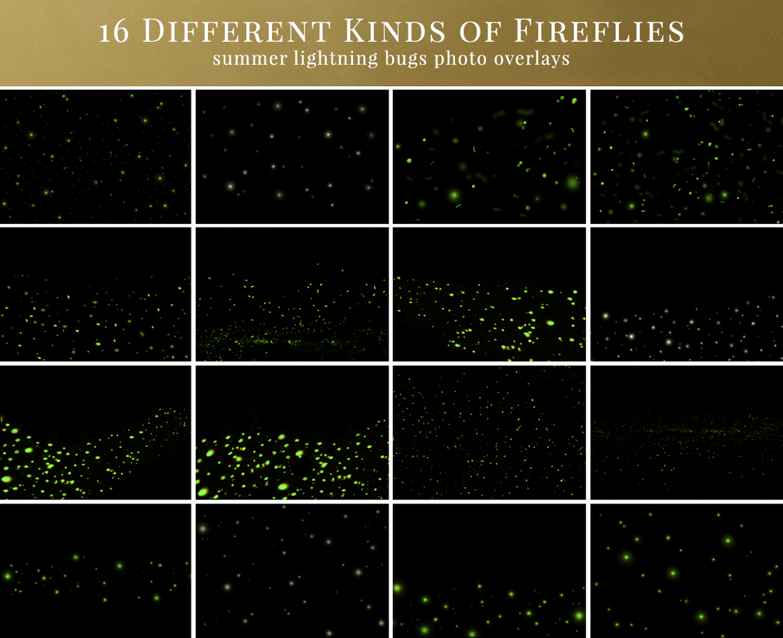 fireflies photo overlays