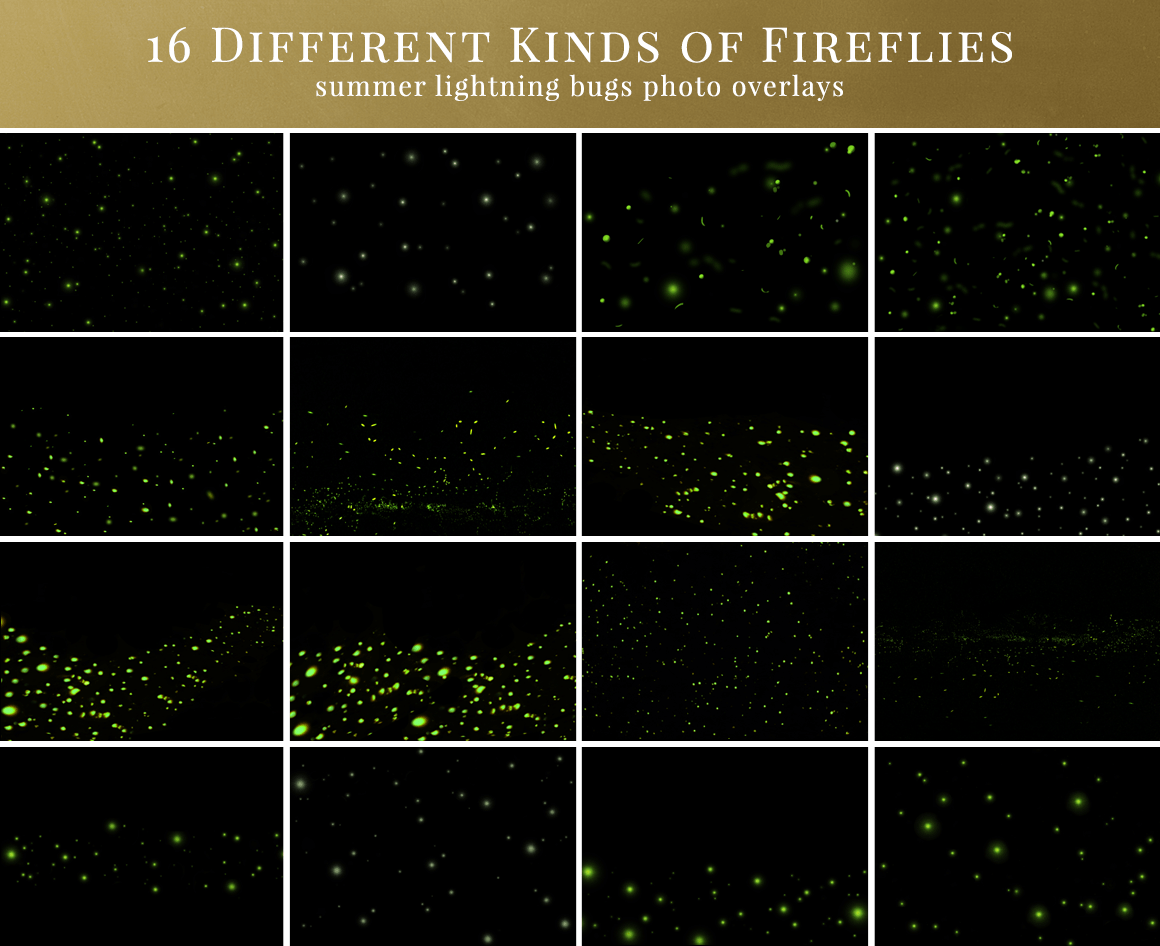 fireflies photo overlays