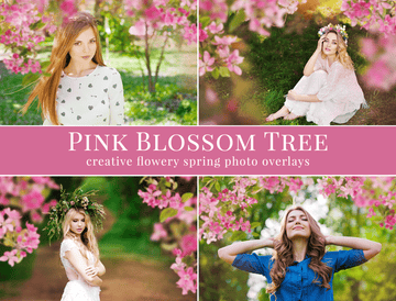 blossom tree spring photo overlays