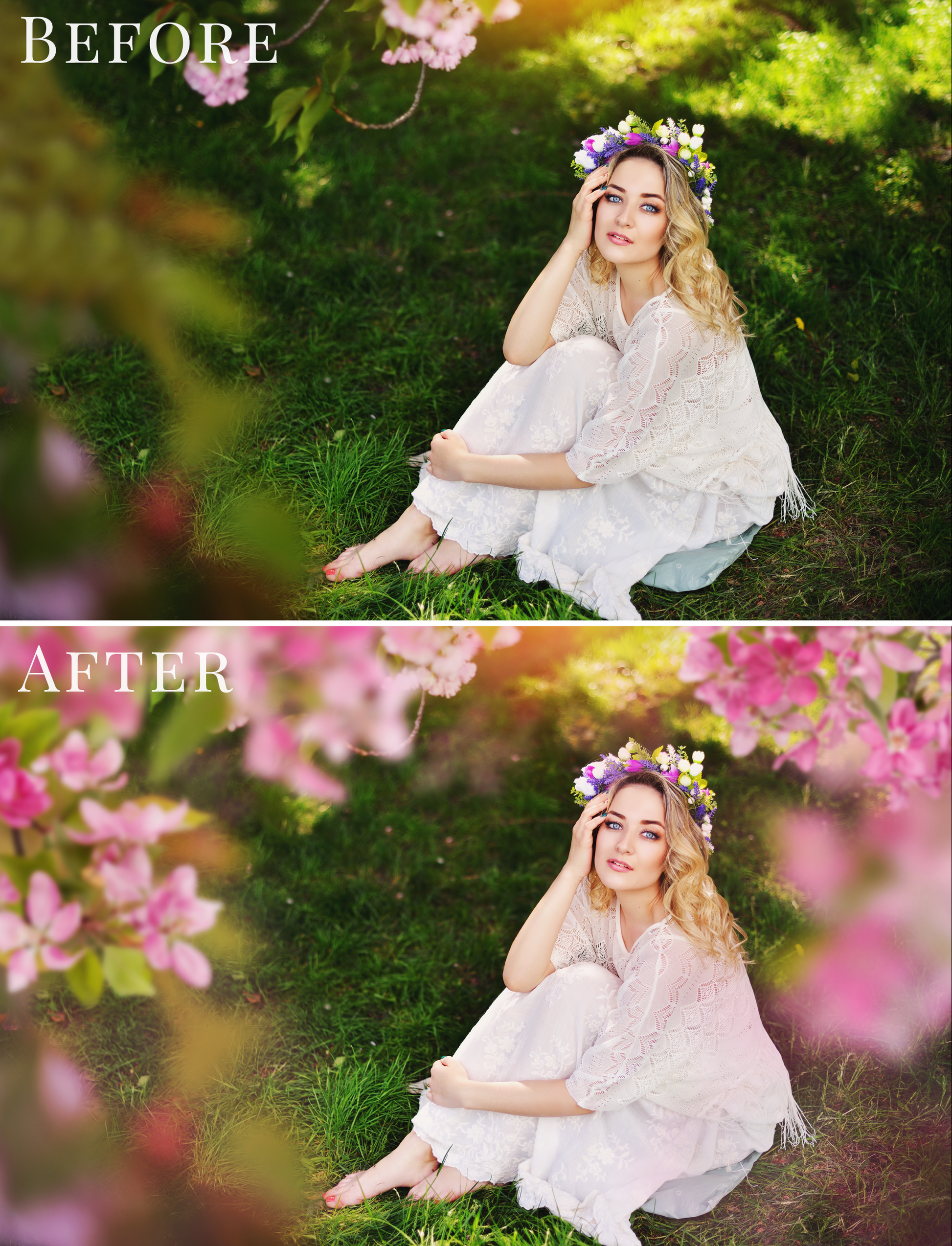 blossom tree spring photo overlays