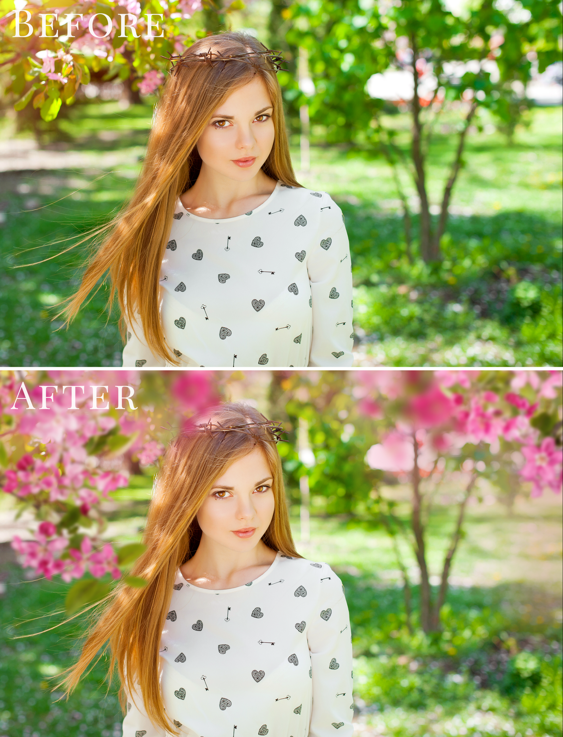 blossom tree spring photo overlays