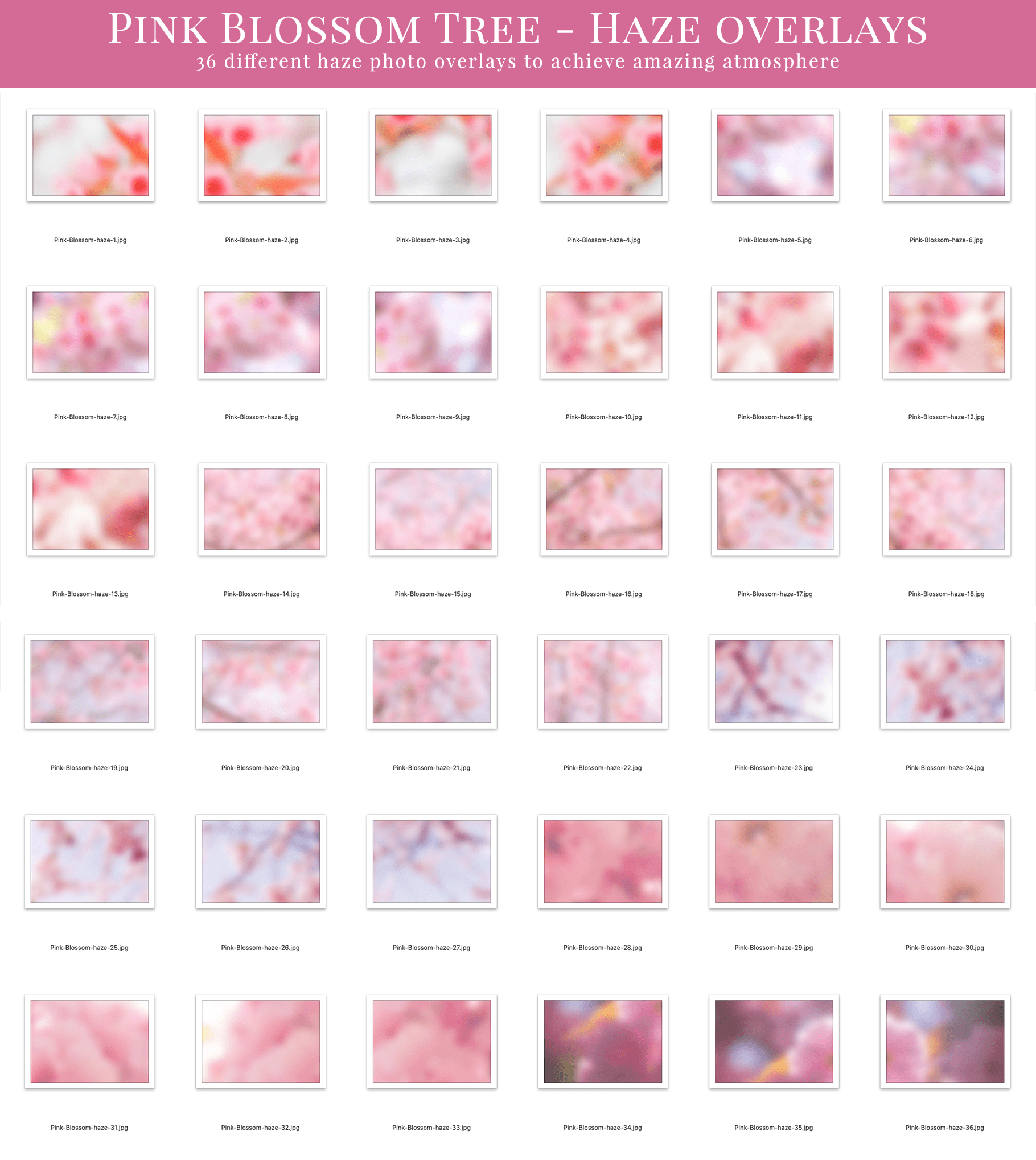 blossom tree spring photo overlays