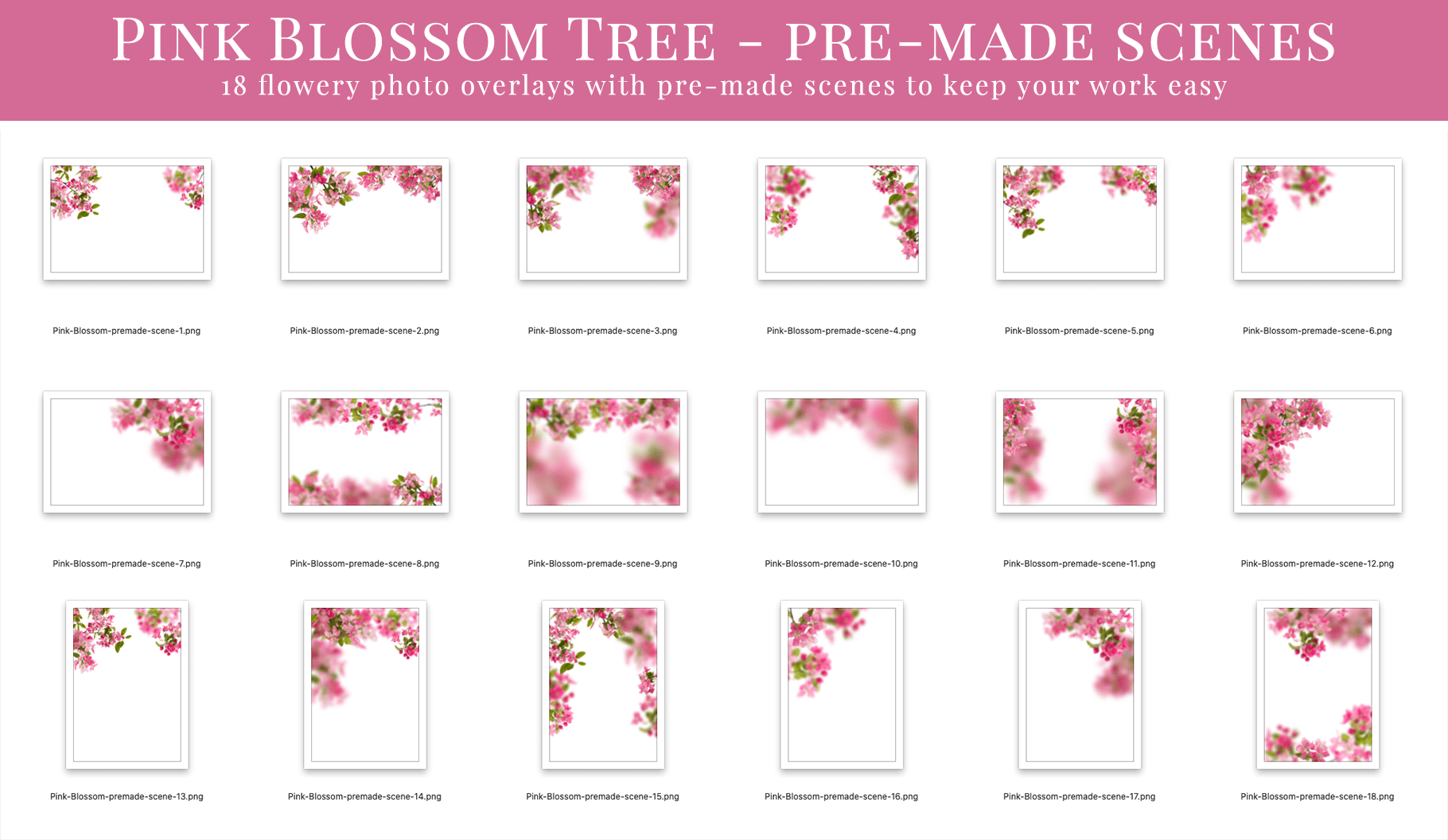 blossom tree spring photo overlays